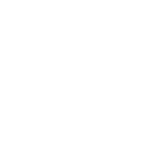 Market and target group The product: "Romilda Visí" Competition & Competitive advantage Marketing & customer retention SWOT Tables